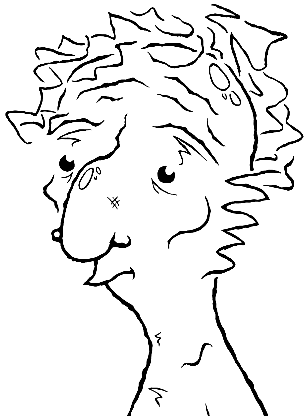 CD Image
